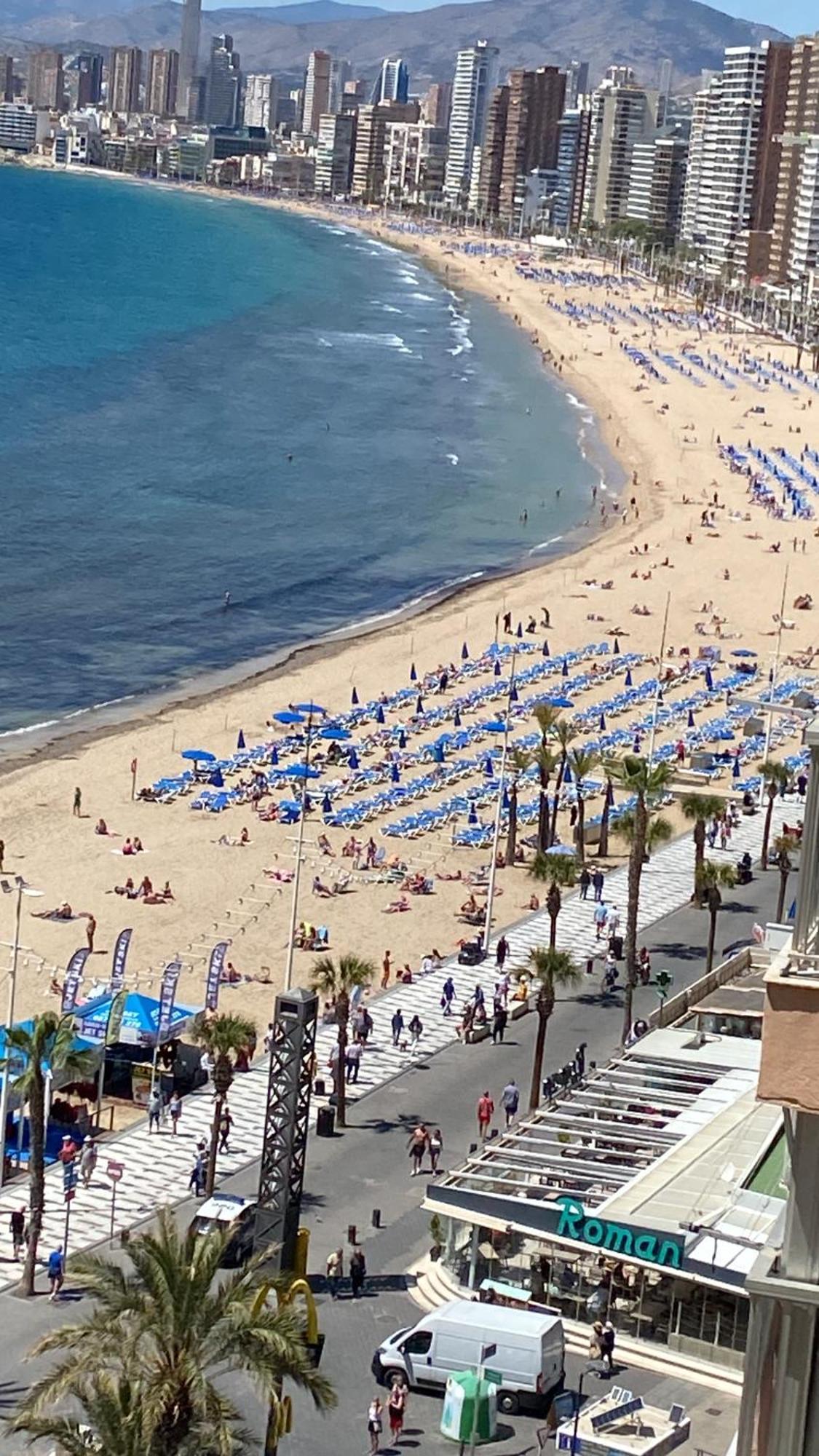 Benidorm Beach Lejlighed Eksteriør billede