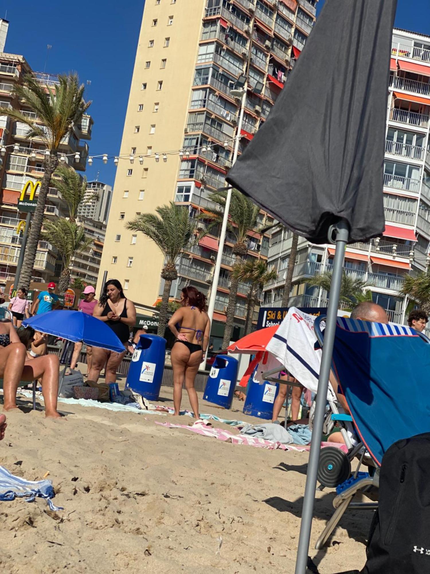 Benidorm Beach Lejlighed Eksteriør billede